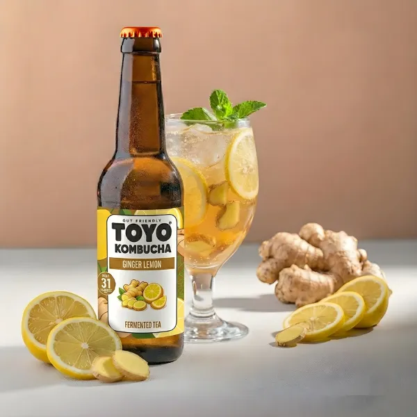 Toyo Kombucha Ginger Lemon Kombucha